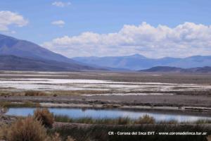 Ojos del campo